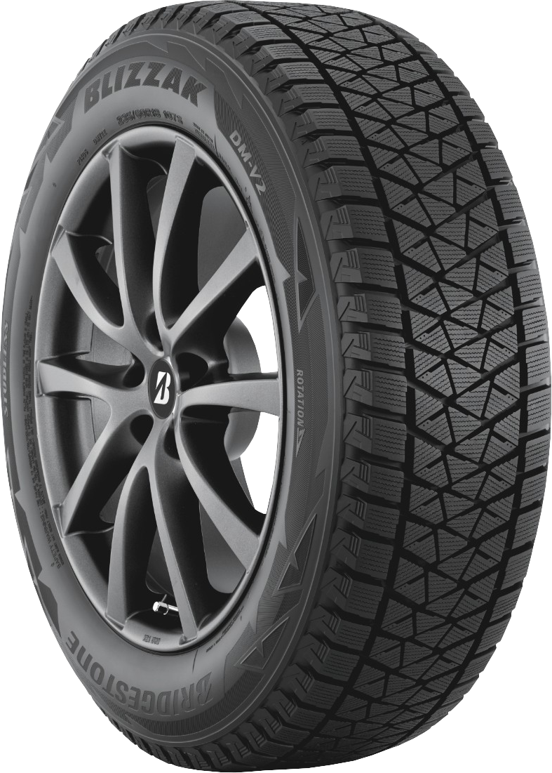 Blizzak DM-V2 | Pneu | Bridgestone